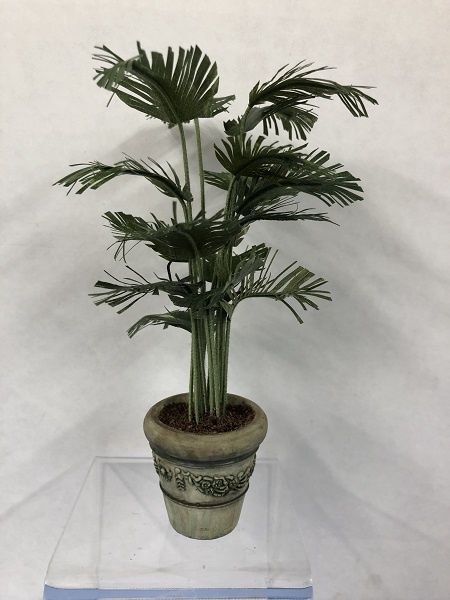Potted Palm mcbj311-1
