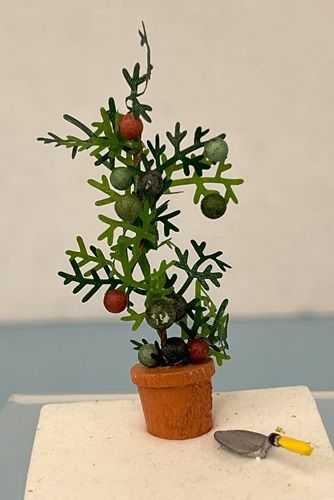 Potted Tomato Plant and Trowel mc030717