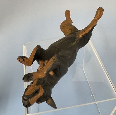 Rottweiler by Karl Blindheim mc04743
