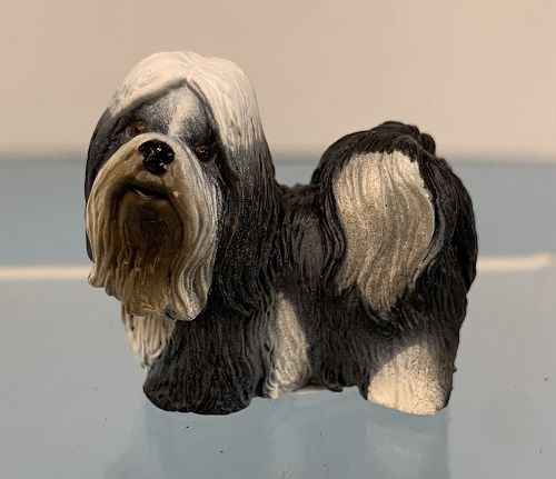 Shih Tzu CH88195
