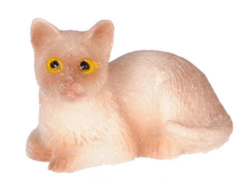 Siamese Cat Sitting IM65459
