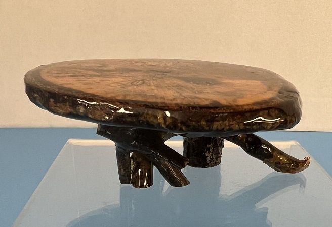 Resin Natural Wood Table with Root Legs ala836-1