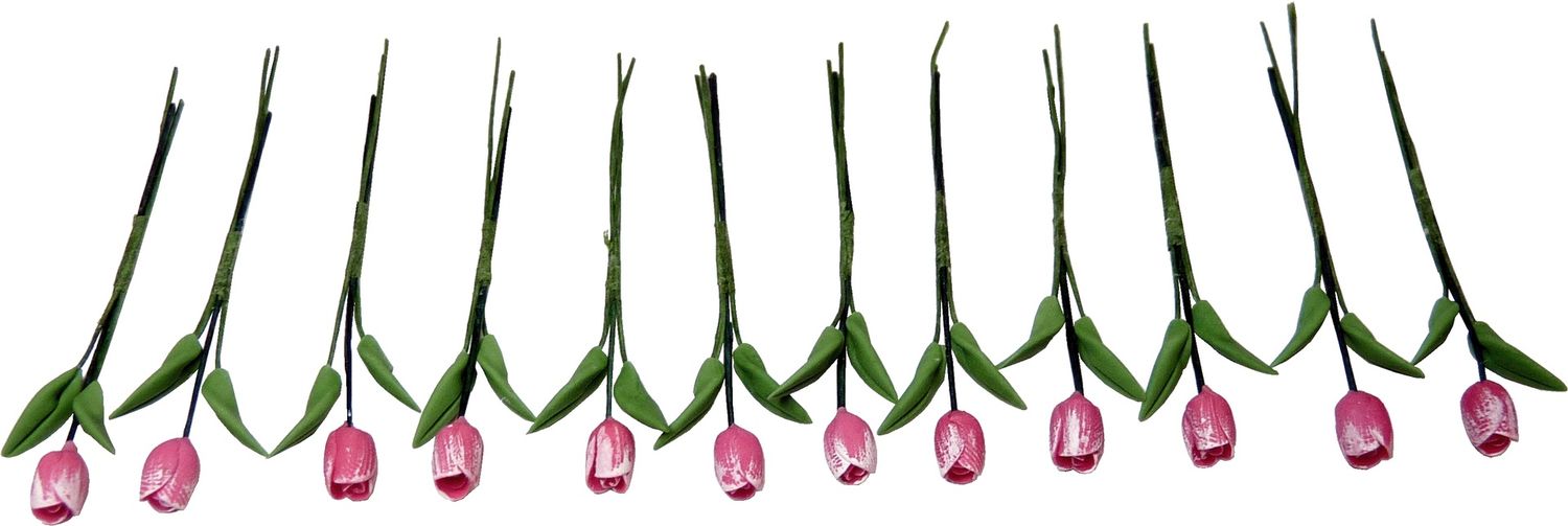 Rose Colored Tulips 1 Dozen BDE1012