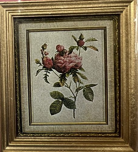 Rose Print jaq9129v