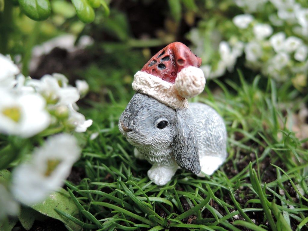 Santa Bunny wfg810