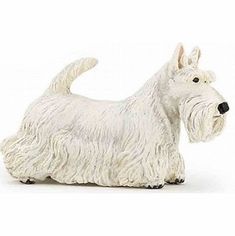 Scottish Terrier PAPO-54028