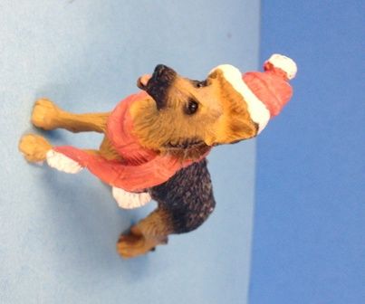 Santa Dog Santadog