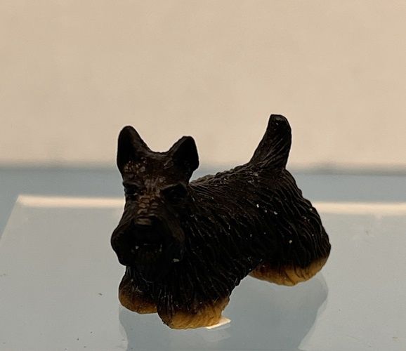 Scottish Terrier mc030966