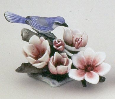 Scrub Jay and Magnolias olsrwt