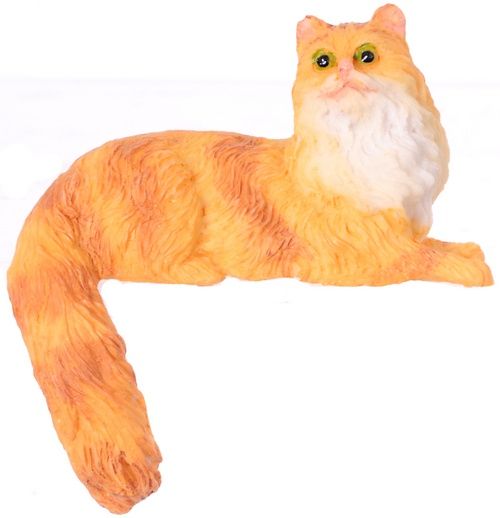 Semi Long Hair Cat Orange with Socks A4139OR