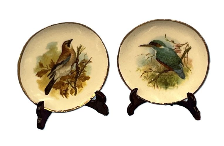 Set of 2 Bird Plates cn479