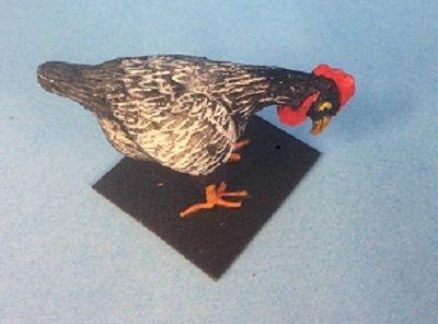 Rooster stu107