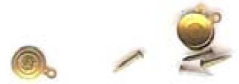 Shell Bed Bolt Cover srS24