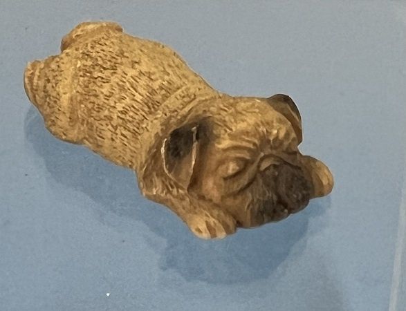 Sleeping Brown Pug jkdog07