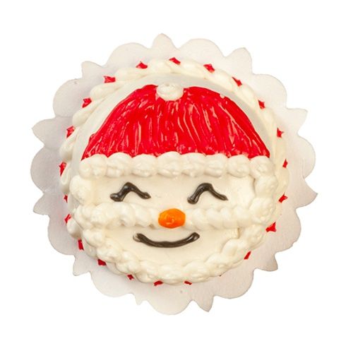 Santa Cake AZG6246