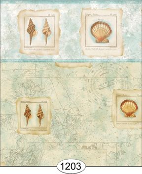 Seashell Map - Green - 1203 wal-2
