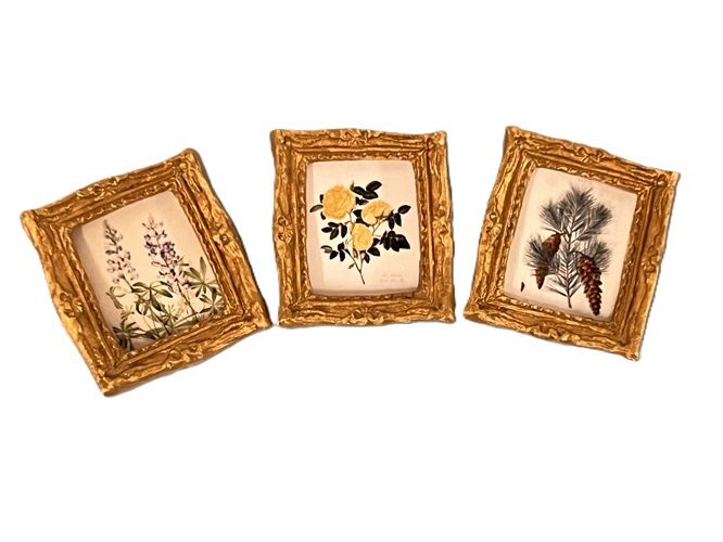 Set of 3 Botanical Prints mc923x