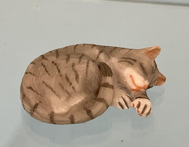 Sleeping Grey Tabby Cat mc031252