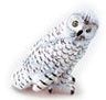 Snowy Owl AZEPMC130