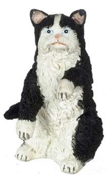 Sitting Black &amp; White Persian Cat fca174