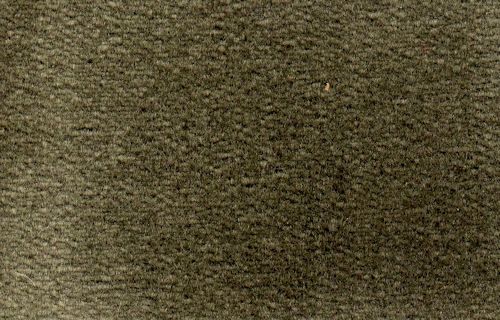 Small Antique Green Carpet NC2031S