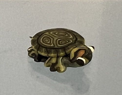 Small Turtle MC031660