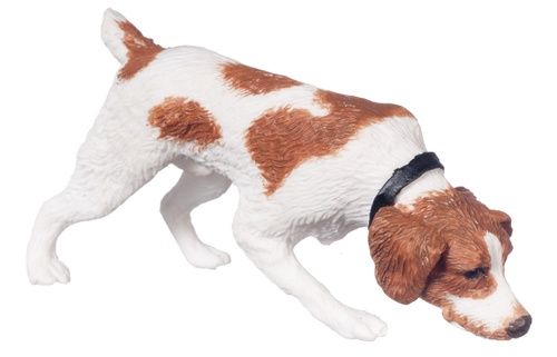 Sniffing Jack Russell fca4560