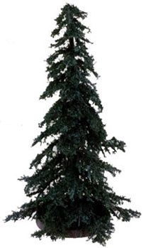 Spruce Tree cast016