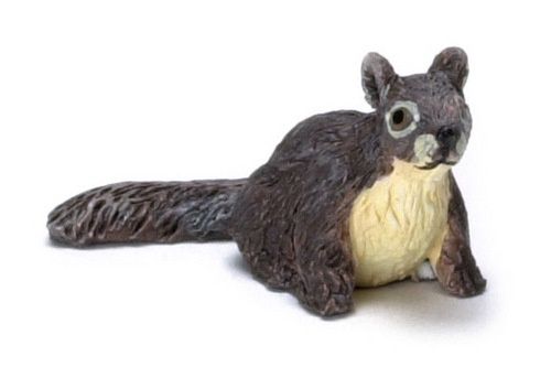 Squirrel a251