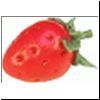 Strawberries bdp010