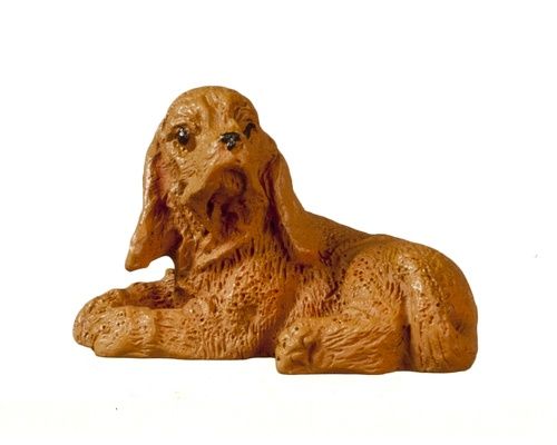 Small Cocker Spaniel B0416