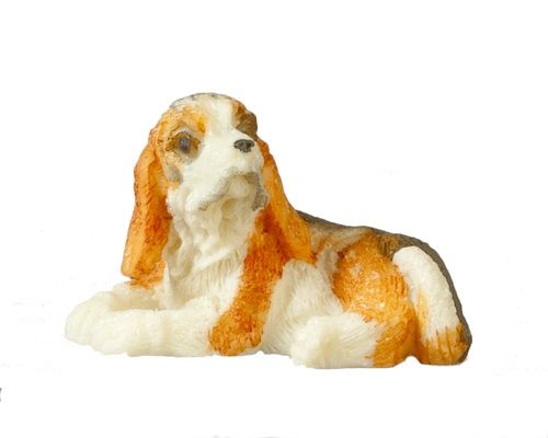 Small Dog azB0419