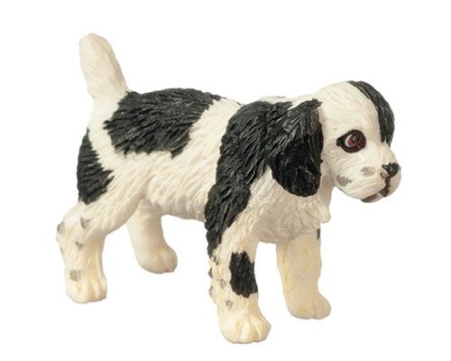 Spaniel Puppy aza6023