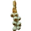 String of Garlic bdp067