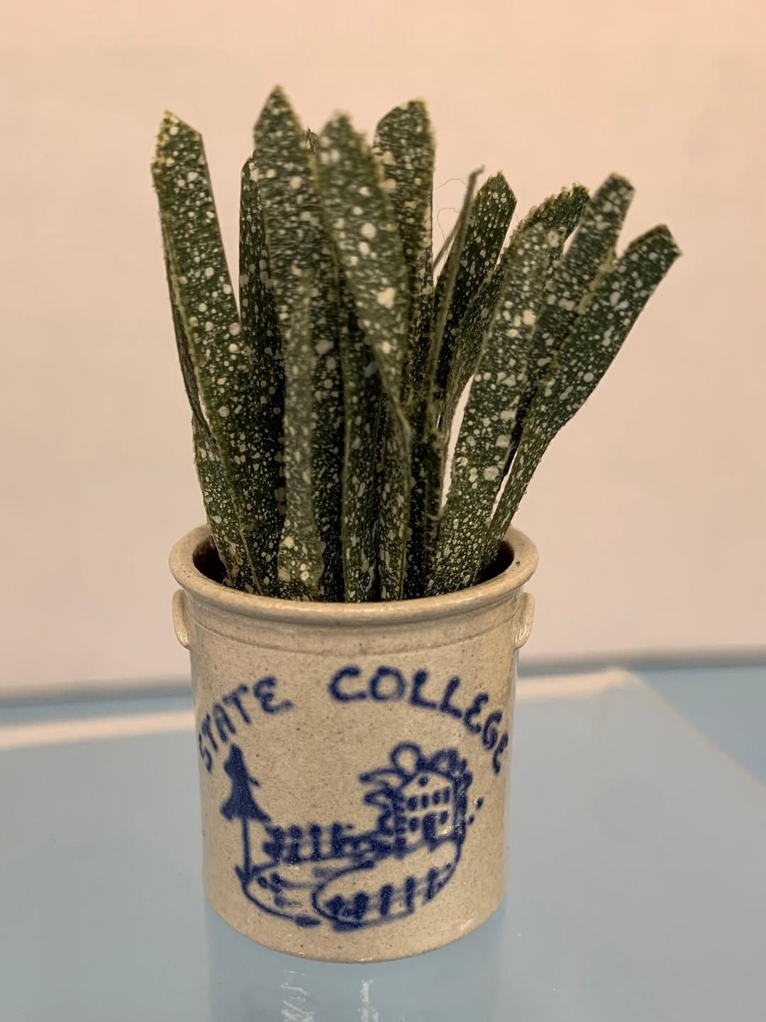 Stoneware Jar with Plant 21624.1