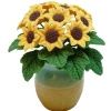 Sunflowers in a Yellow/Tan Glazed Pot bdr604