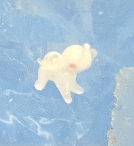 Teeny Tiny White Glass Elephant nc0349