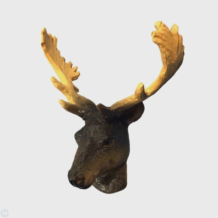 Stag's Head d1582