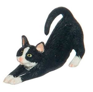 Stretching Cat A3100sk