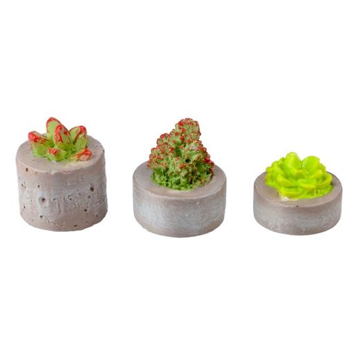 Succulents in Planters - 3 Pcs HW4044