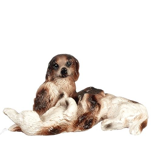 Three Dogs Playing AZB0009