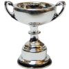 Trophy Cup- Silver bdh070