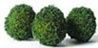 Tree, Egg Shape, 1 Inch Tall Coated, 3pc MBT121B
