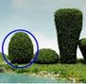 Tree-Bush 2.5 In Tall, 2Pc MBT122B
