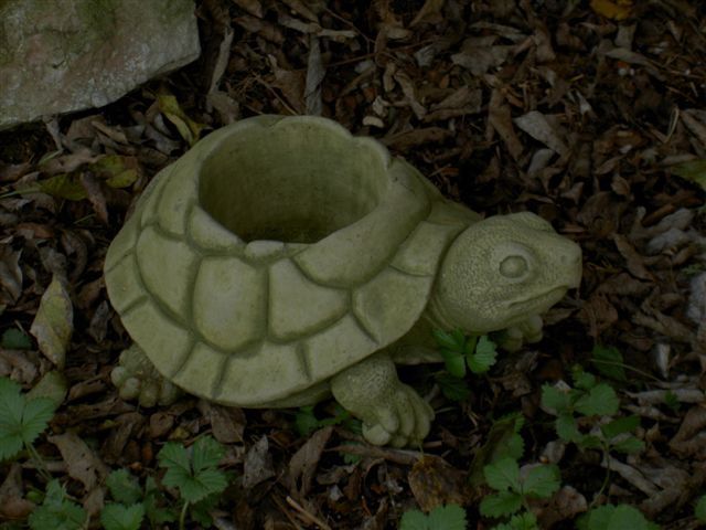 Turtle Planter 123