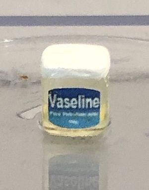 Vaseline hr52017