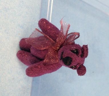 Tiny Purple Bear womb6107