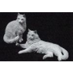 Two Cats DH073