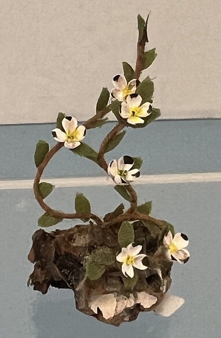 Vines with White Flowers on Wood ALA1055