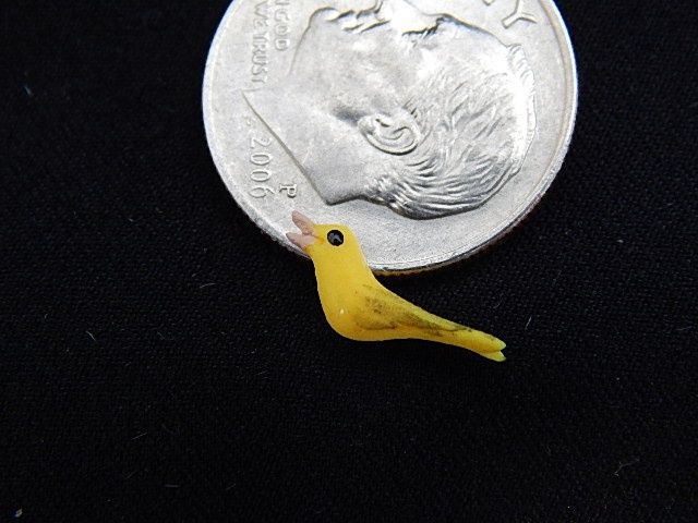 Tiny Canary my29